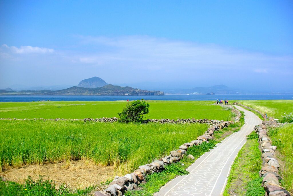 Ein Abschnitt des Olle-Trails 10-1 auf der insel Gapa mit Blick auf die Insel Jeju und den darauf befindenden, alles überragenden Mt. Halla.