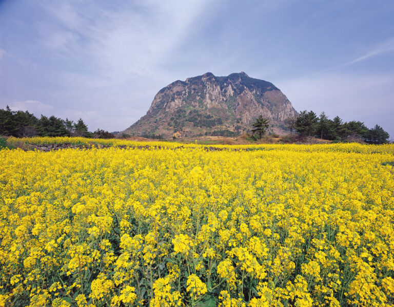 Der Berg Sanbangsan auf der Insel Jeju ragt direkt vor der Yeongmeori-Küste in den Himmel.